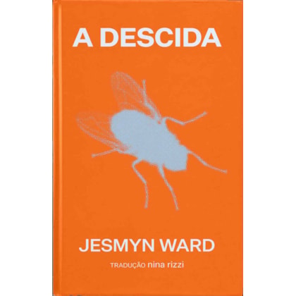 A descida