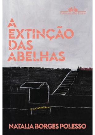 A EXTINÇÃO DAS ABELHAS