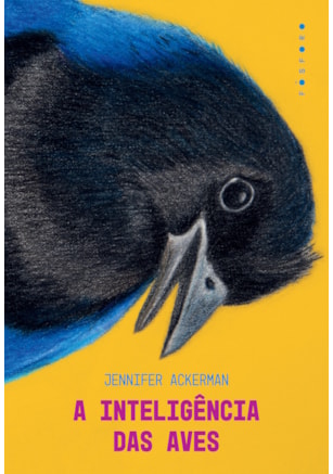 A INTELIGÊNCIA DAS AVES