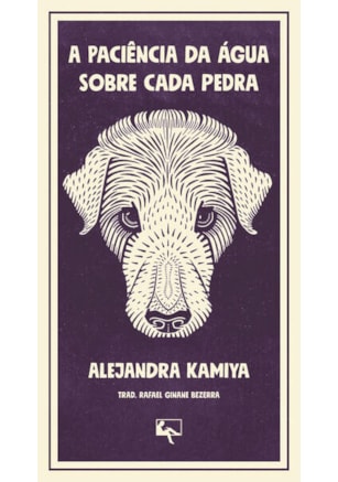 A PACIÊNCIA DA ÁGUA SOBRE CADA PEDRA