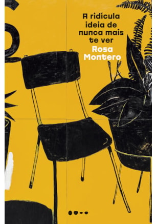 A RIDÍCULA IDEIA DE NUNCA MAIS TE VER