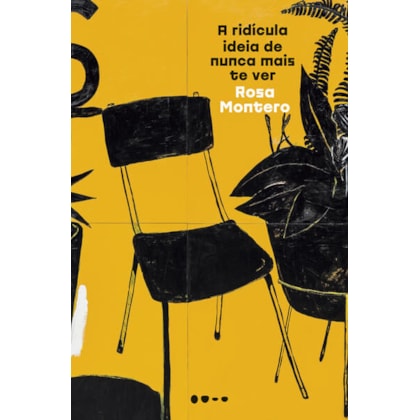 A RIDÍCULA IDEIA DE NUNCA MAIS TE VER
