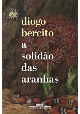 A solidão das aranhas