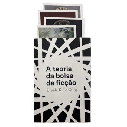 A teoria da bolsa de ficção