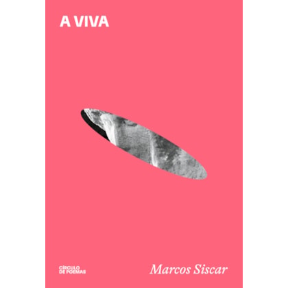 A VIVA