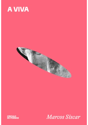 A VIVA