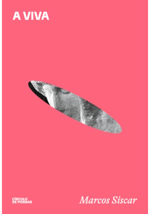 A VIVA