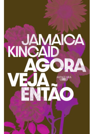 AGORA VEJA ENTÃO