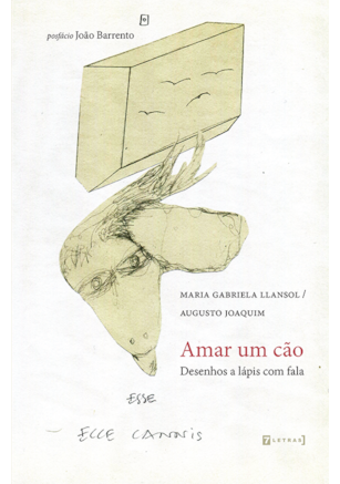 Amar um cão