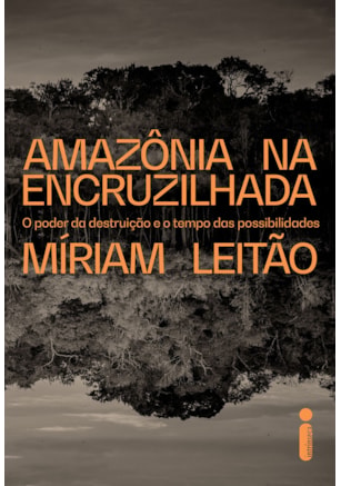 AMAZÔNIA NA ENCRUZILHADA