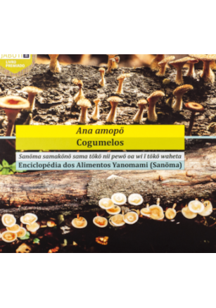 Ana Amopö - Cogumelos Yanomami