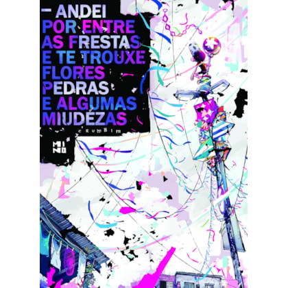 Andei por entre as frestas e te trouxe flores, pedras e algumas miudezas