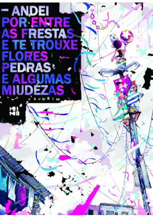 Andei por entre as frestas e te trouxe flores, pedras e algumas miudezas