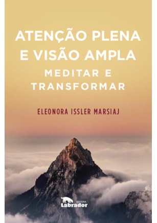 ATENÇÃO PLENA E VISÃO AMPLA