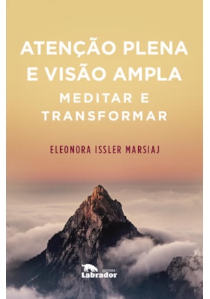 ATENÇÃO PLENA E VISÃO AMPLA