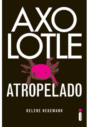 AXOLOTLE ATROPELADO