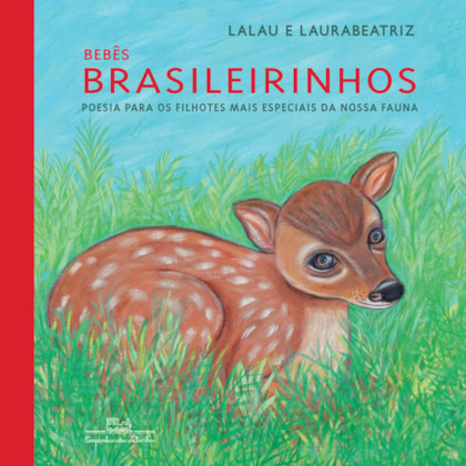 BEBÊS BRASILEIRINHOS (BROCHURA)