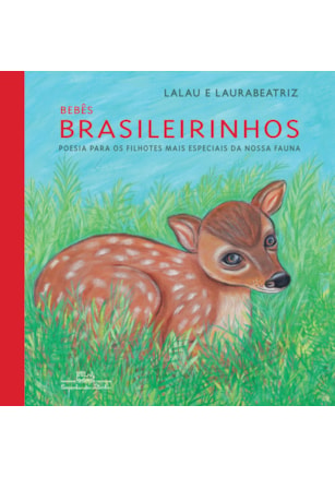 BEBÊS BRASILEIRINHOS (BROCHURA)
