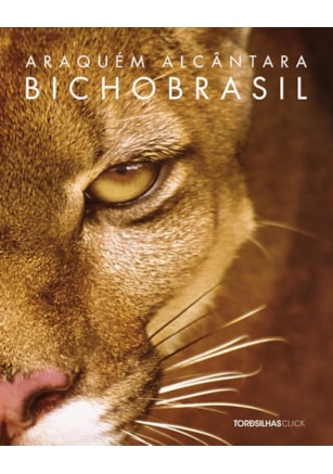 Bicho Brasil