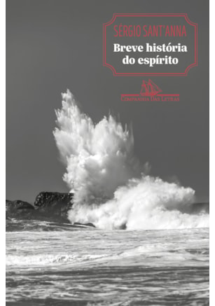 BREVE HISTÓRIA DO ESPÍRITO (NOVA EDIÇÃO)