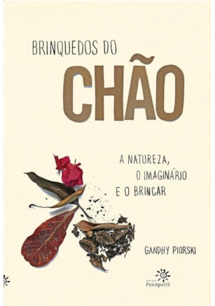 Brinquedos do chão