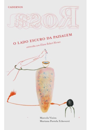 CADERNOS ROSA — O LADO ESCURO DA PAISAGEM