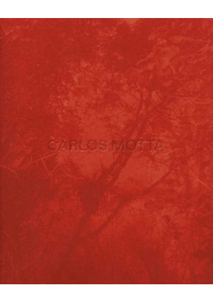 CARLOS MOTTA
