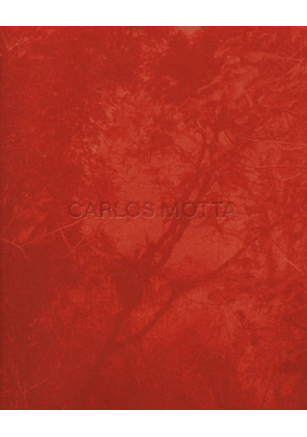 CARLOS MOTTA