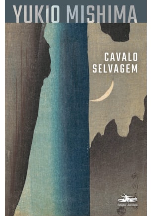 CAVALO SELVAGEM
