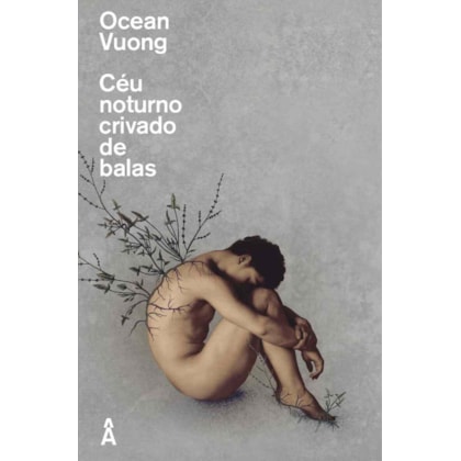 CÉU NOTURNO CRIVADO DE BALAS