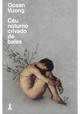 CÉU NOTURNO CRIVADO DE BALAS