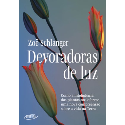 DEVORADORAS DE LUZ