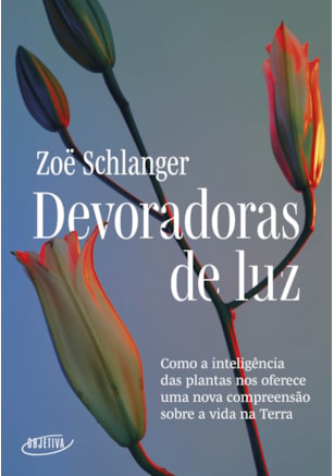 DEVORADORAS DE LUZ