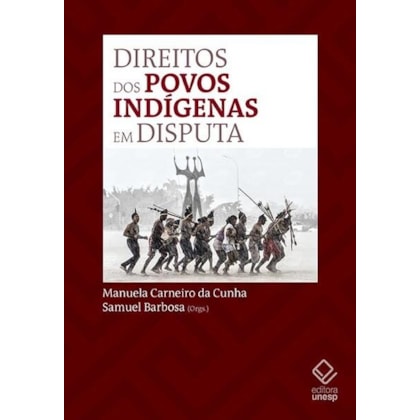 DIREITOS DOS POVOS INDÍGENAS EM DISPUTA