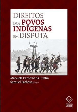 DIREITOS DOS POVOS INDÍGENAS EM DISPUTA