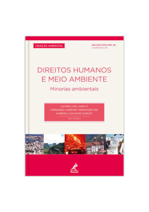 DIREITOS HUMANOS E MEIO AMBIENTE
