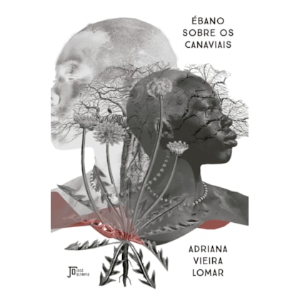 ÉBANO SOBRE OS CANAVIAIS