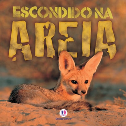 ESCONDIDO NA AREIA