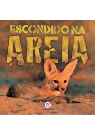 ESCONDIDO NA AREIA