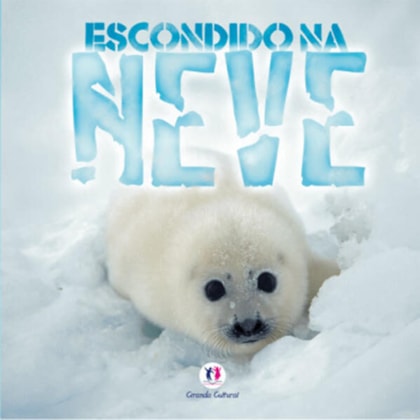 ESCONDIDO NA NEVE