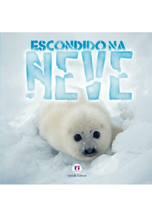 ESCONDIDO NA NEVE