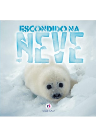 ESCONDIDO NA NEVE