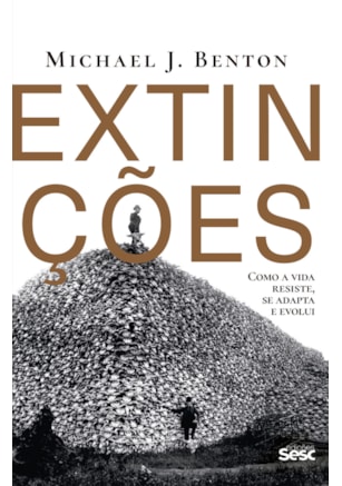 EXTINÇÕES