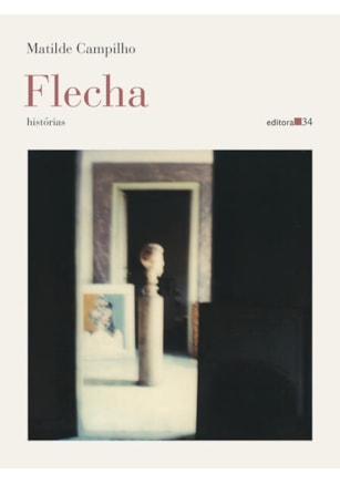 FLECHA (HISTÓRIAS)