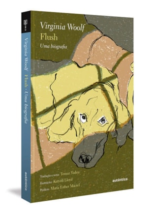 FLUSH (CAPA DURA)