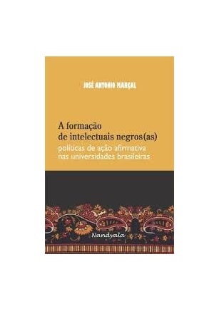 Formação de intelectuais negros(as), A