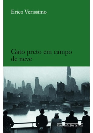 GATO PRETO EM CAMPO DE NEVE