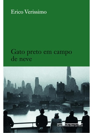 GATO PRETO EM CAMPO DE NEVE