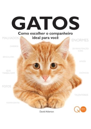 GATOS : COMO ESCOLHER O COMPANHEIRO IDEAL PARA VOCÊ