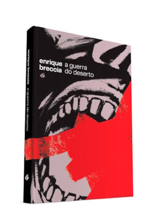 GUERRA DO DESERTO